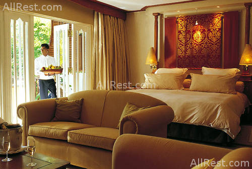 Royal Palm 12